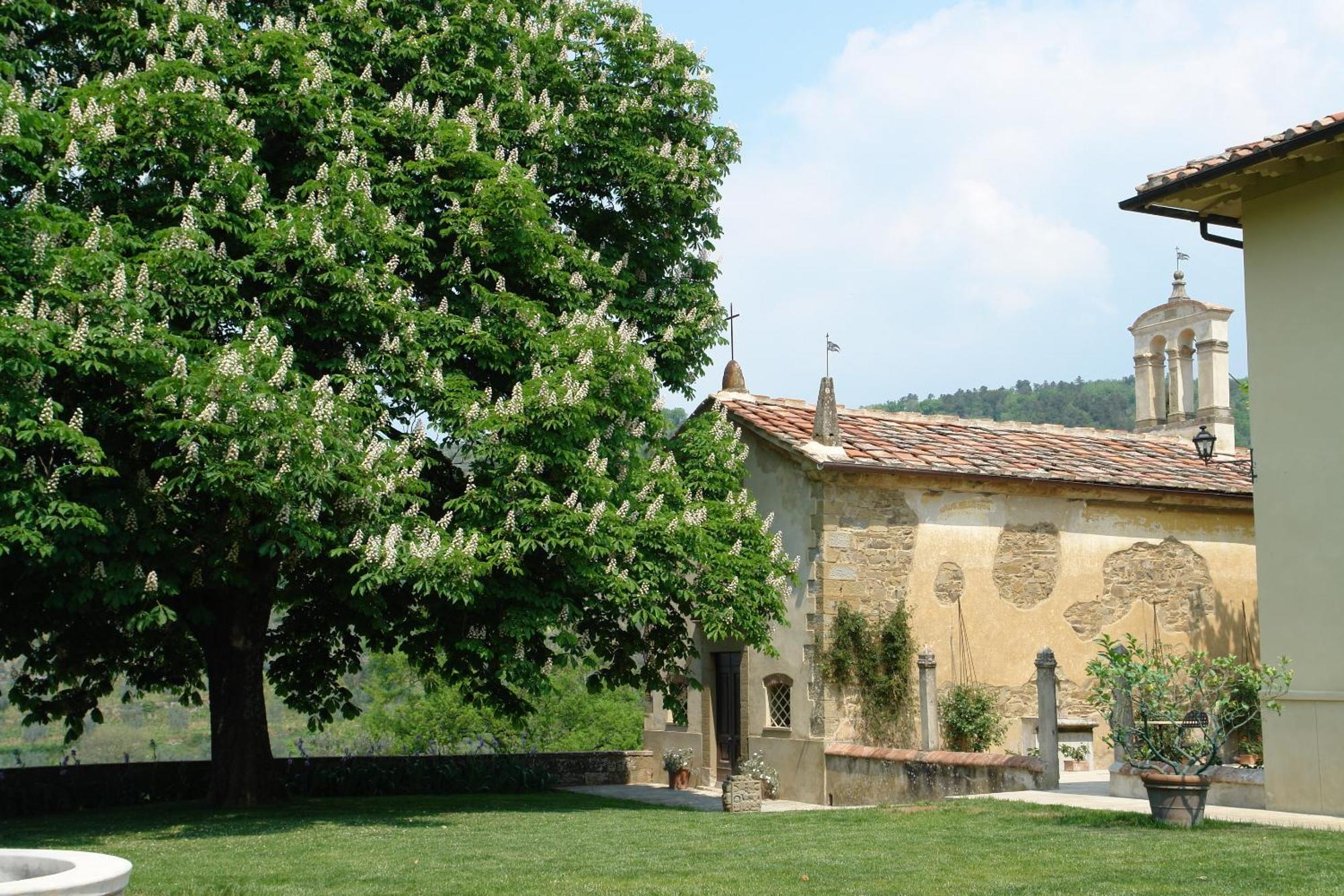 Relais Villa Belpoggio - Residenza D'Epoca Loro Ciuffenna Dış mekan fotoğraf