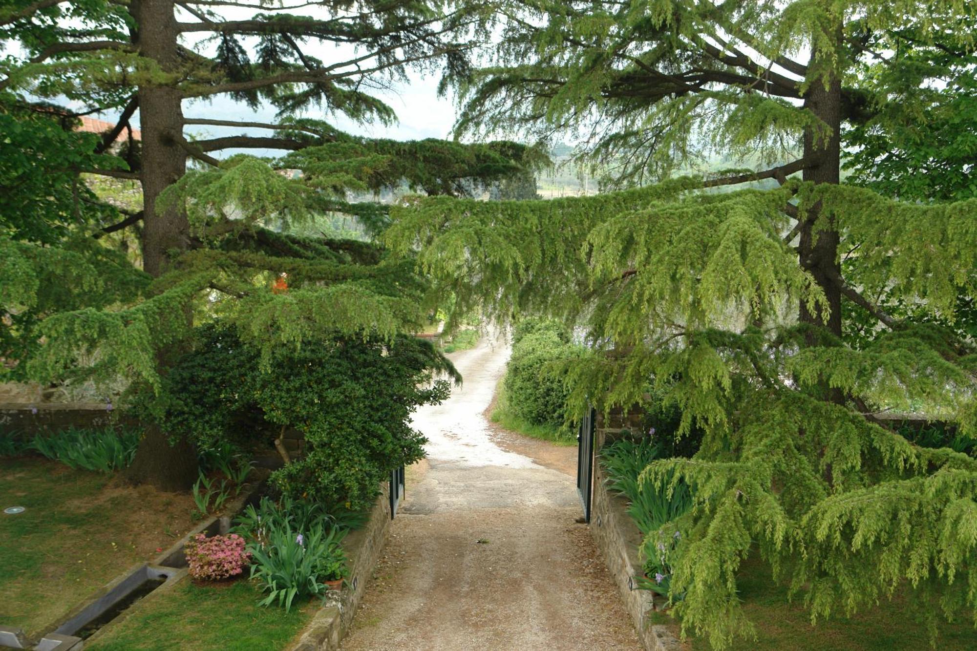 Relais Villa Belpoggio - Residenza D'Epoca Loro Ciuffenna Oda fotoğraf